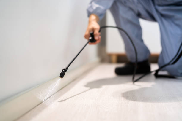 Licensed Termite Control service in Round Lake, IL - Show Me Pest Control