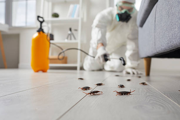 Post-Treatment Bed Bug Interceptor Monitoring in Round Lake