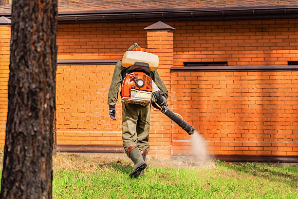 Bed Bug Clearance Verification and Documentation in Round Lake